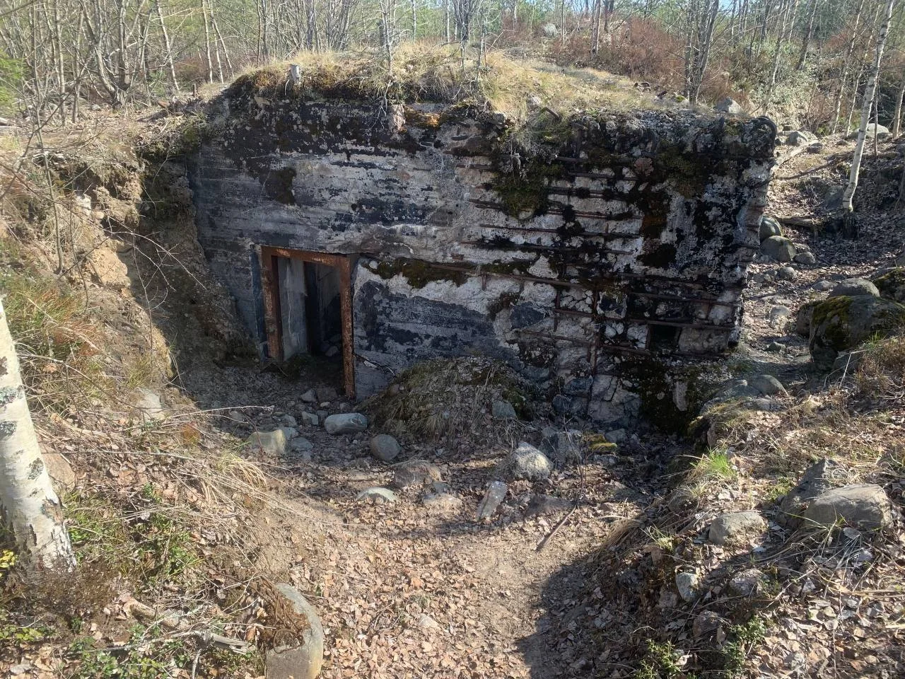Линия Маннергейма